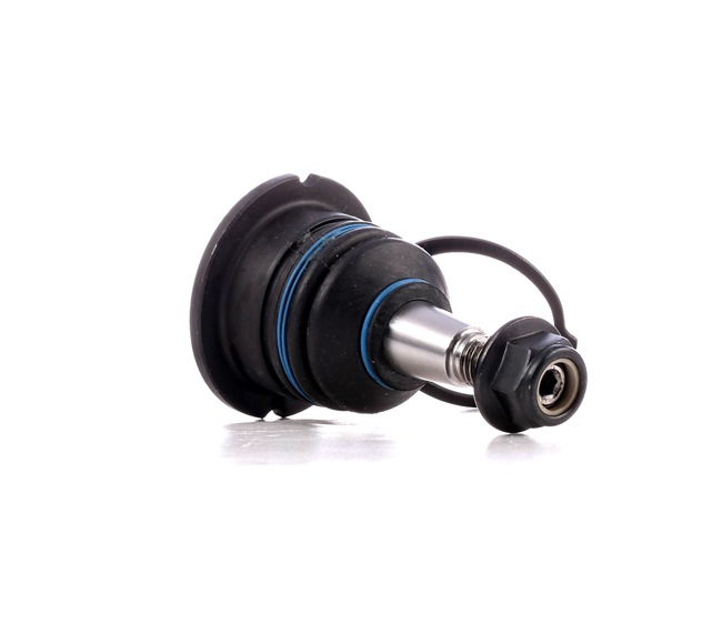 RIDEX 2462S0341 Calidad y precios justos
