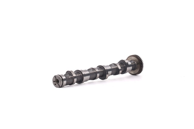 RIDEX 566C0039 Árvore de cames Audi A4 8h 2.5 TDI 163 cv Diesel 2004