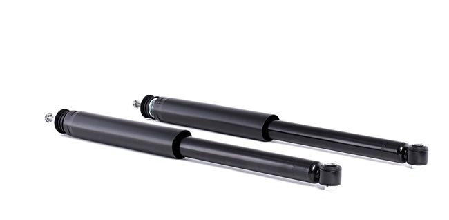 TRW Shock absorber JGT260T at favorable price