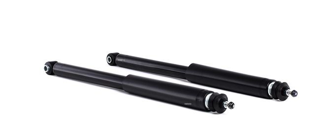 TRW Shock absorber JGT260T at favorable price