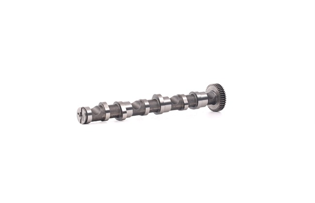 RIDEX 566C0043 Árvore de cames Audi A4 8h 2.5 TDI 163 cv Diesel 2005