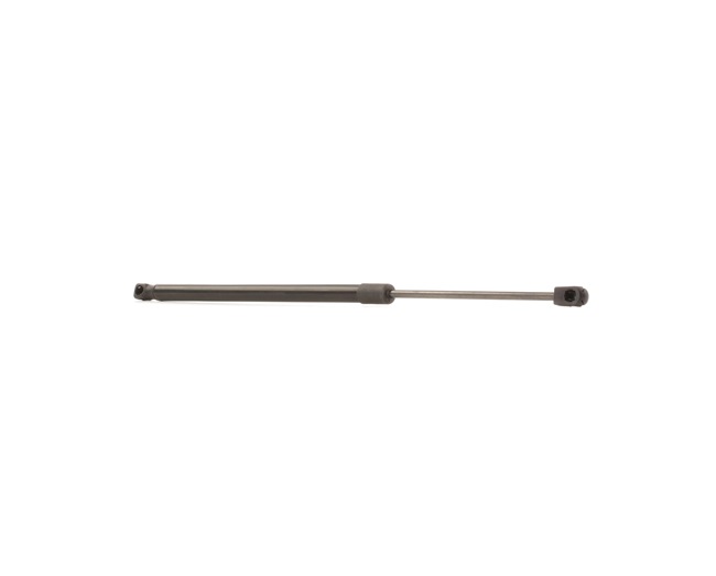 RIDEX 219G0778 gasveer achterklep A4547400145