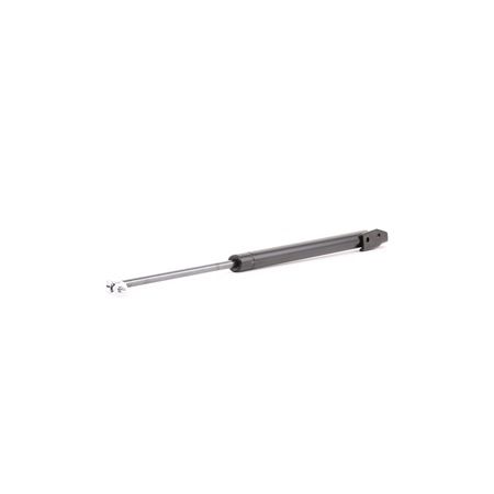 RIDEX 219G0802 gasveer achterklep B01-C62-620