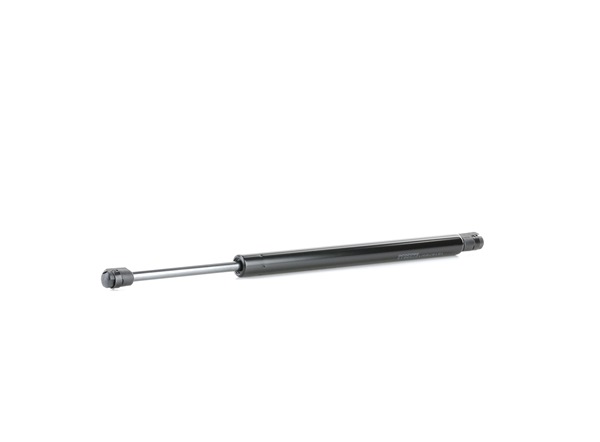 RIDEX 219G0826 Mala Chrysler 300c Carrinha 3.5 249 cv Gasolina 2004
