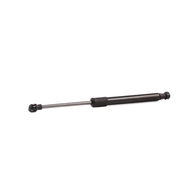 RIDEX 514G0064 Plinska vzmet, pokrov motorja BMW E12