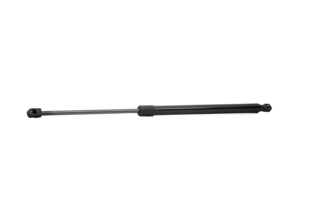 RIDEX 219G0838 gasveer achterklep 701 829 331 J