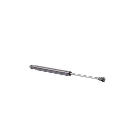 RIDEX 219G0843 Heckklappendämpfer CHEVROLET elektrisch Kosten