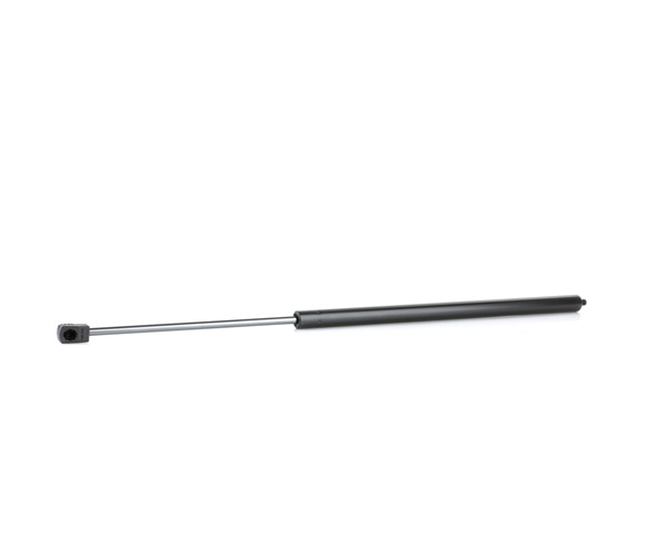 RIDEX 514G0122 gasveer motorkap 164 880 0029