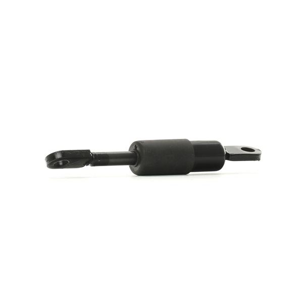 RIDEX 219G0857 gasveer achterklep 8G0825373C