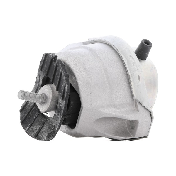 RIDEX 247E0220 Motorlager BMW E60