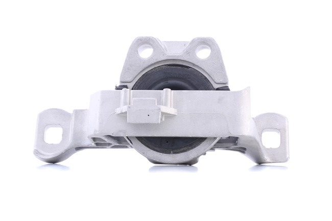 RIDEX 247E0242 motorsteunlager 30758020