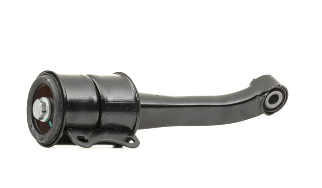 RIDEX 6N0 199 851H Suporte, motor 247E0255