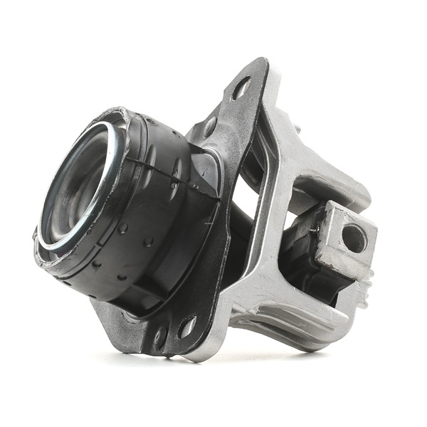 DELPHI Suporte, motor TEM047 ao melhor preços