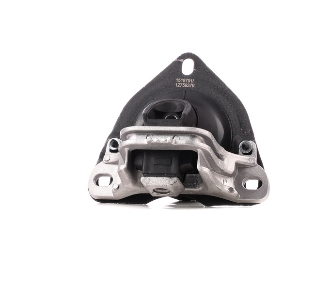 DELPHI Suporte, motor TEM047 ao melhor preços