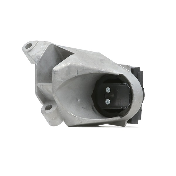 RIDEX 247E0303 Vlezajenje, motor RENAULT TWINGO 2018