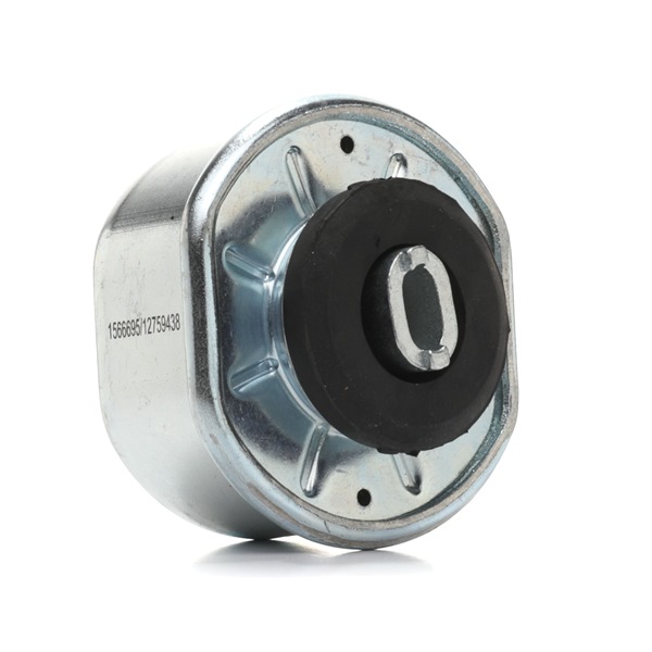 RIDEX 701199201H Support moteur 247E0310