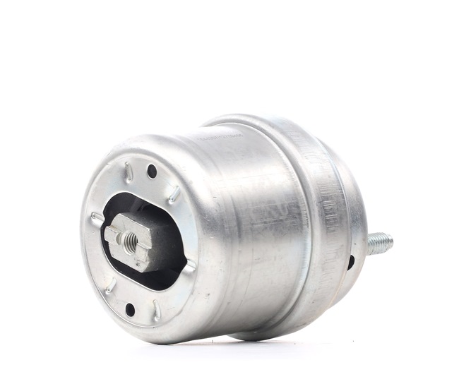 RIDEX 7D0 199 132 C Motorlager 247E0313