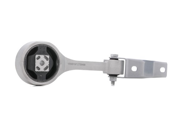 RIDEX 247E0317 Vlezajenje, motor VW POLO 2019
