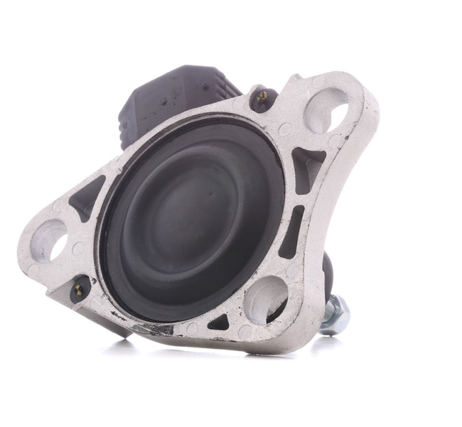 RIDEX 247E0319 Vlezajenje, motor Renault Scenic 1