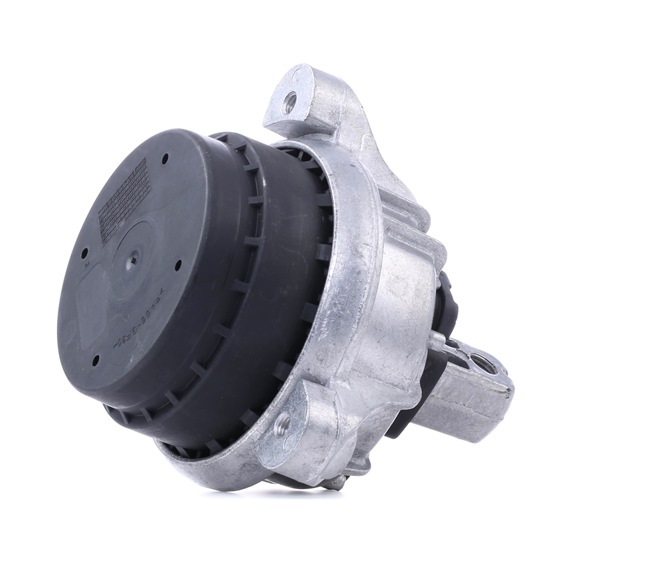 RIDEX 247E0330 Motorlager BMW F10