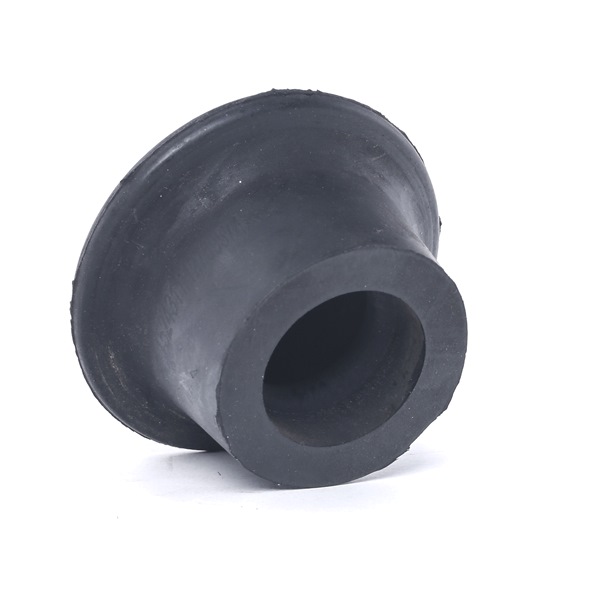 RIDEX 247E0348 %KIND% high quality at dicount prices