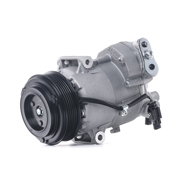 RIDEX 447K0293 aircopomp 13 33 5251