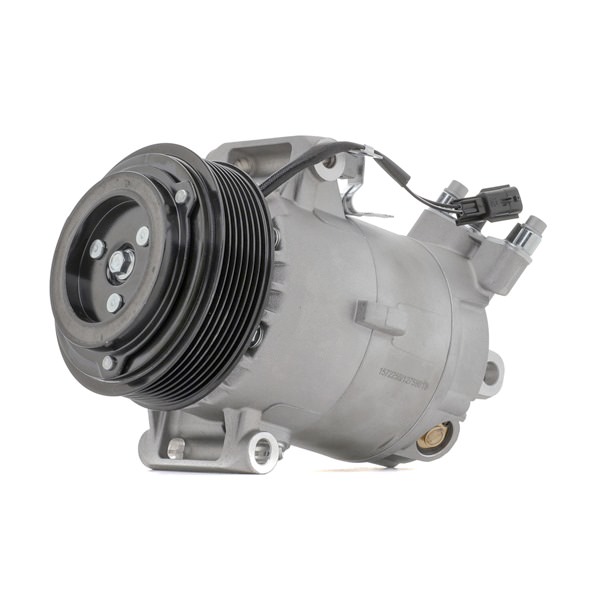 RIDEX 92600 BR70A Aircopomp 447K0301