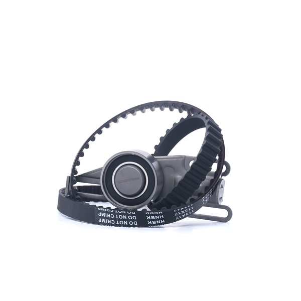 RIDEX 307T0257 distributieriem set 0831 Q7