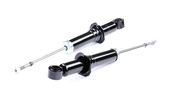 RIDEX 854S2090 A-kwaliteit en eerlijke prijzen