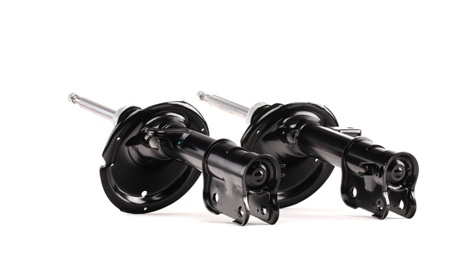 RIDEX 854S2136 schokdemper 546602B200