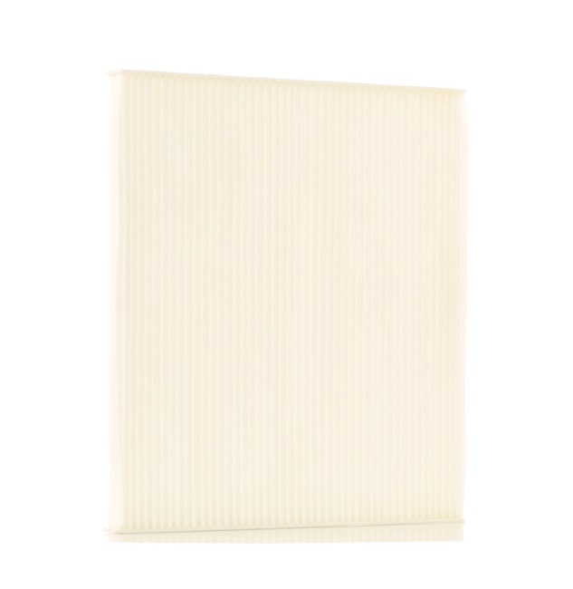 STARK SKIF-0170435 qualité haut de gamme et prix abordables
