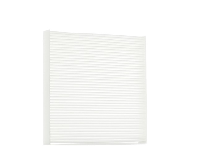 STARK SKIF-0170454 A-kwaliteit en eerlijke prijzen