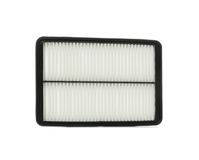 RIDEX 8A0670 Luftfilter HYUNDAI SANTA FE pris