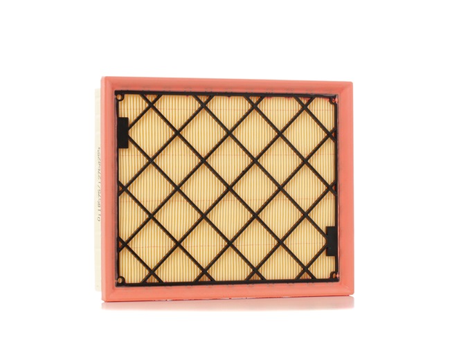 STARK DS739601AC Filtro aria SKAF-0060678