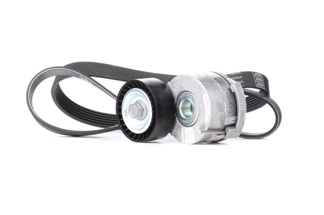 SKF VKMA 33205 Cinghia servizi PEUGEOT 308 SW I Van / Station Wagon (4E_) originale prezzo