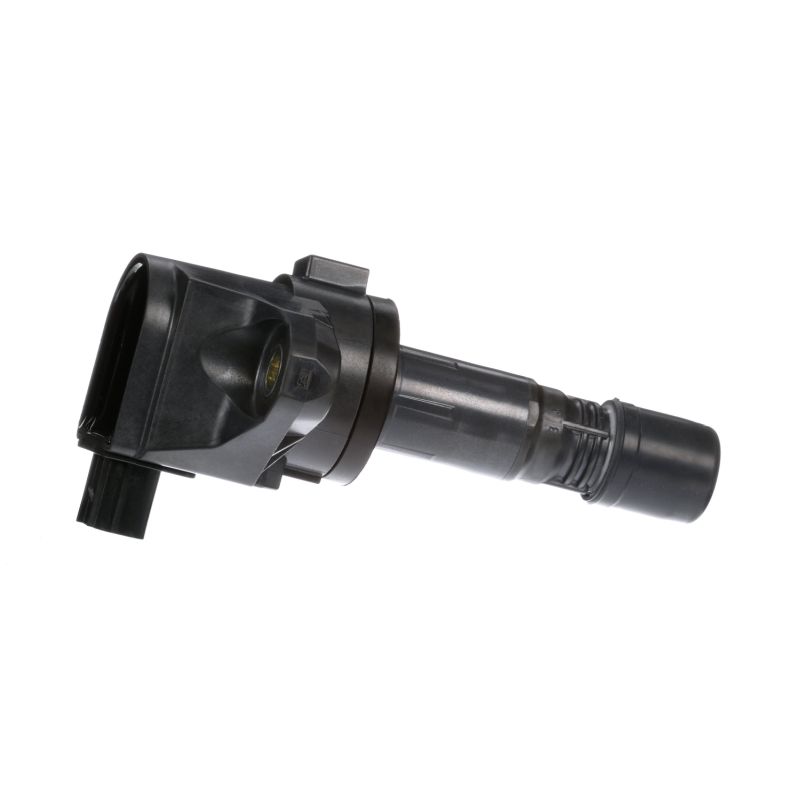DELPHI GN10421 bobine 30520-R1A-A01