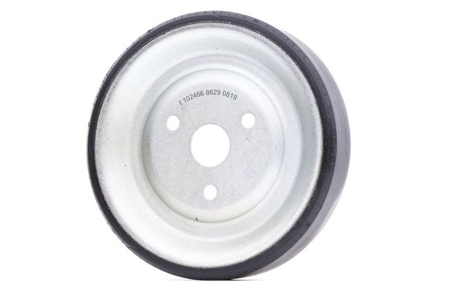 FEBI BILSTEIN 102466 Water pump pulley BMW F20 118 i 170 hp Petrol 2012