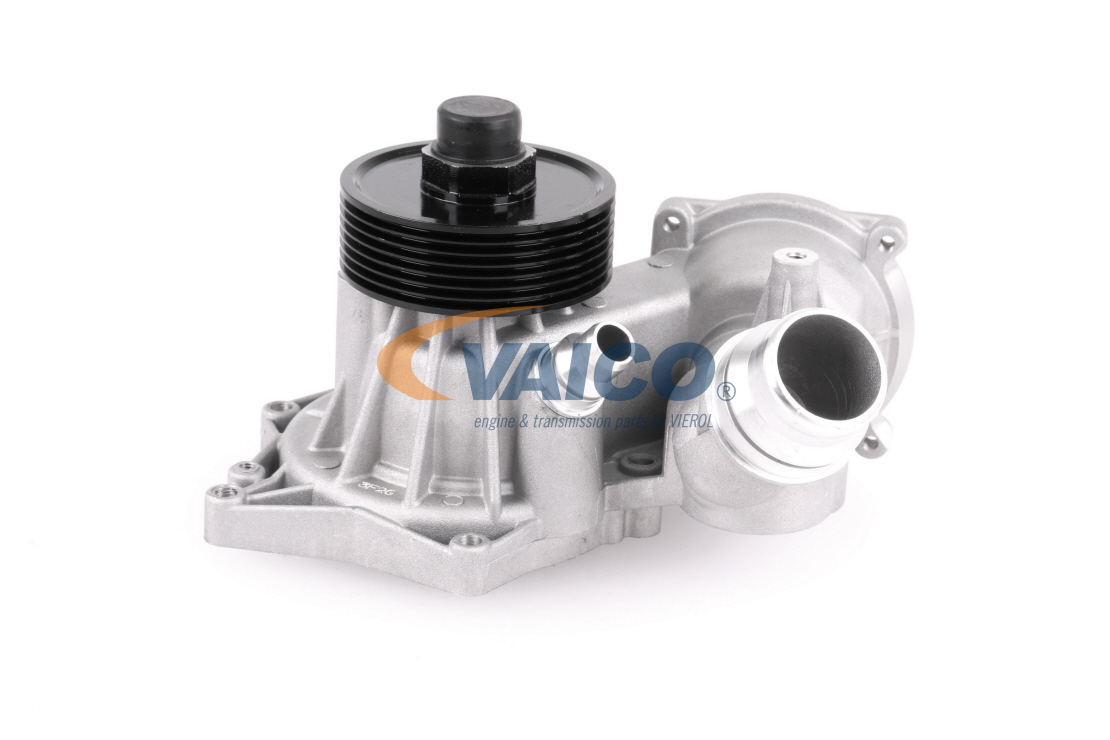 V20-50062 VAICO 11517792549 Wasserpumpe