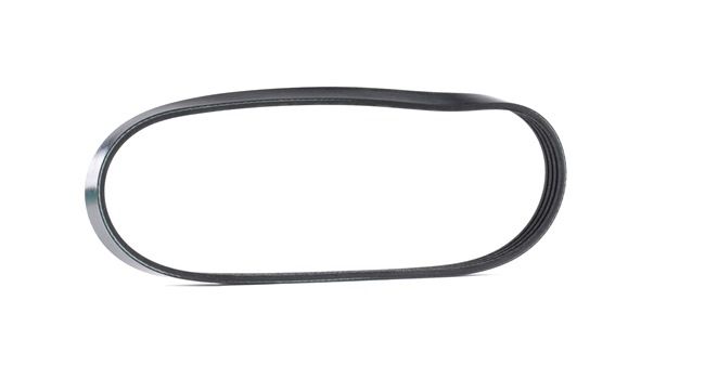 JP GROUP 3318100900 Ιμάντας poly-V Fiat Stilo Combi 1.4 16V 95 PS Βενζίνη 2005