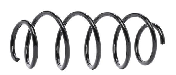 SF111 Magnum Technology 50707384 Fahrwerksfeder
