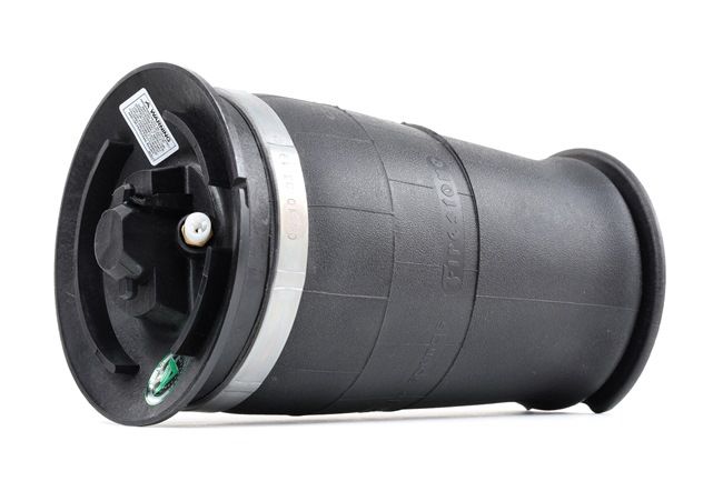 Molla pneumatica Arnott A-2755