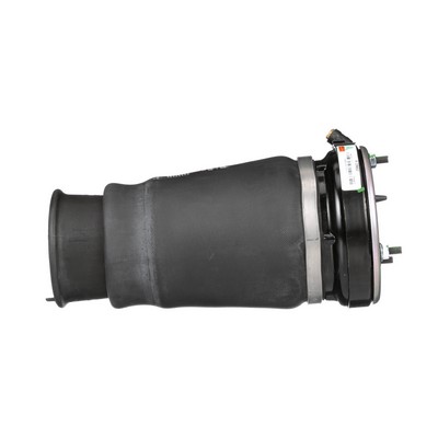 RIDEX Muelle neumático, suspensión 4119A0093 a un precio bajo