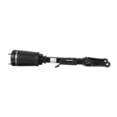 Arnott AS-2463 pneumatische veerpoot 1643202213