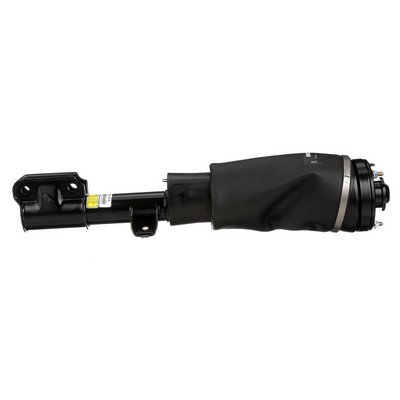 AS-2516 Arnott RNB501400 Luftfederbein