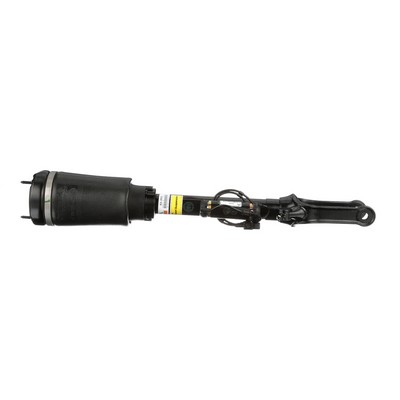 Arnott AS-2802 pneumatische veerpoot 164 320 22 13