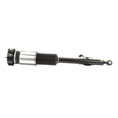 Arnott AS-2822 pneumatische veerpoot A 221320551380