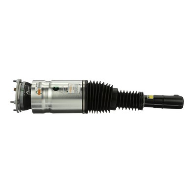 Arnott AS-3070 pneumatische veerpoot LR060155