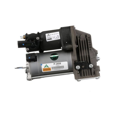 Arnott A166320010480 Compressor voor de luchtvering P-2858
