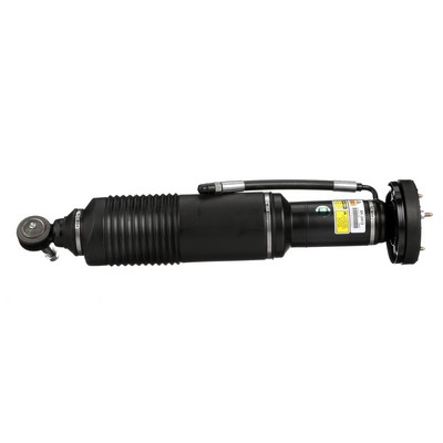 Luftfederbein Arnott SK-2412