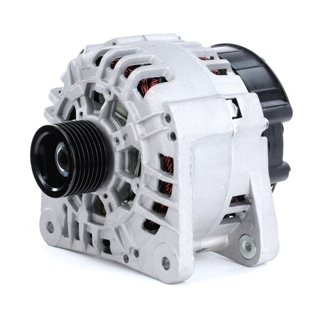 STARK SKGN-0320250 1A-Qualität und faire Preise
